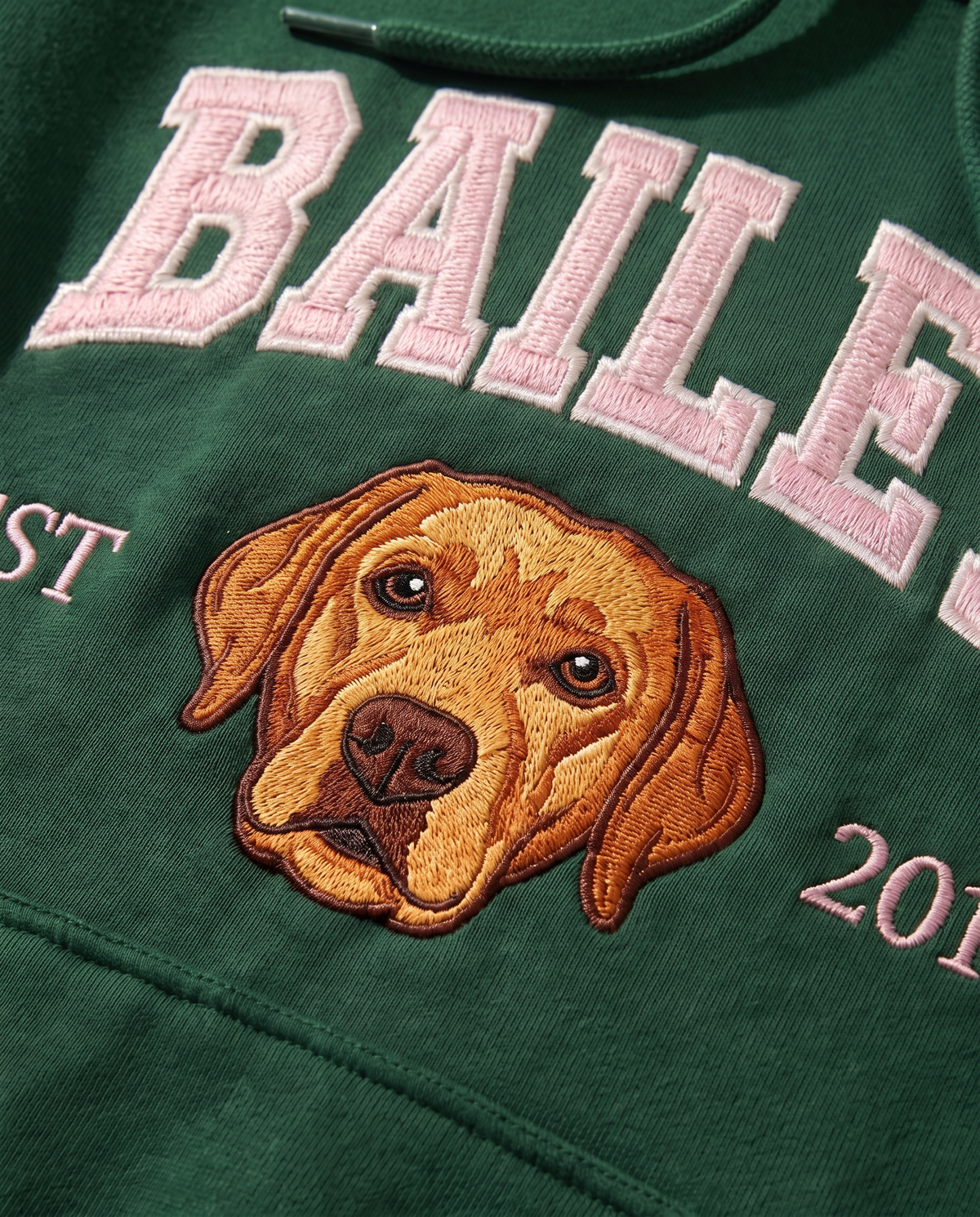 Close-up of the embroidered dog portrait and collegiate lettering