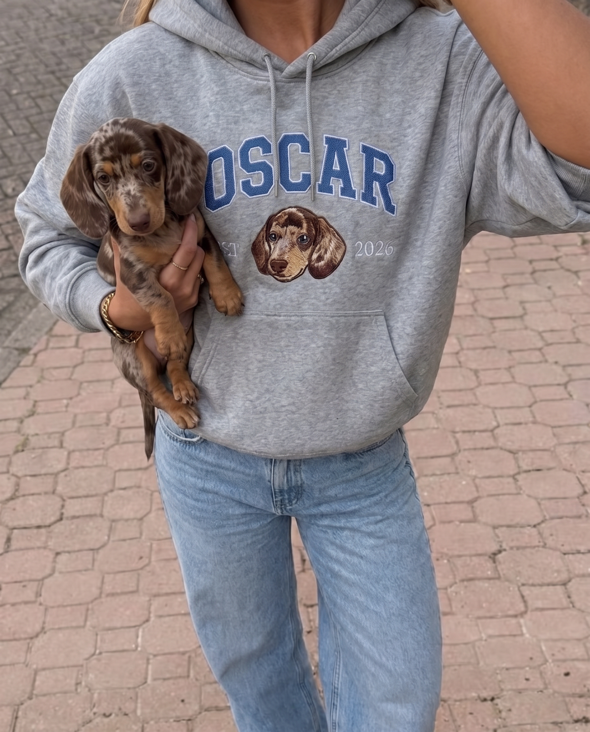 Grey University hoodie with an embroidered dachshund, next to the dog