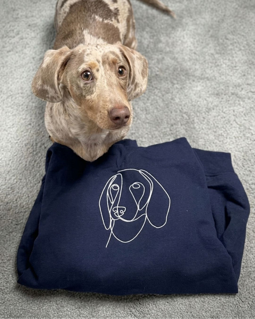 One-line pet portrait sweatshirt in another color