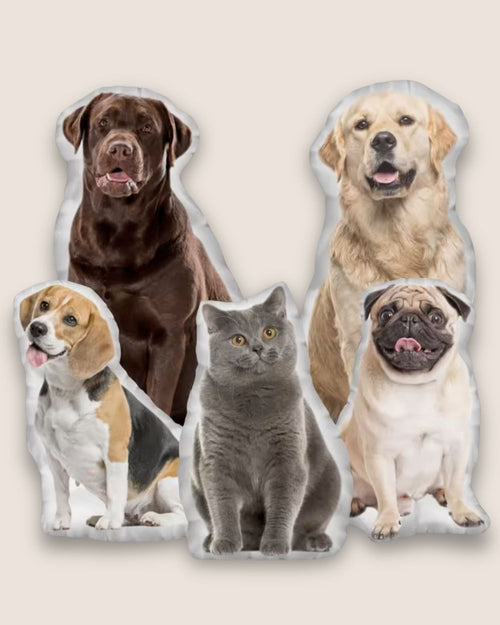 Pillows cut to the shape of pets, printed from photos