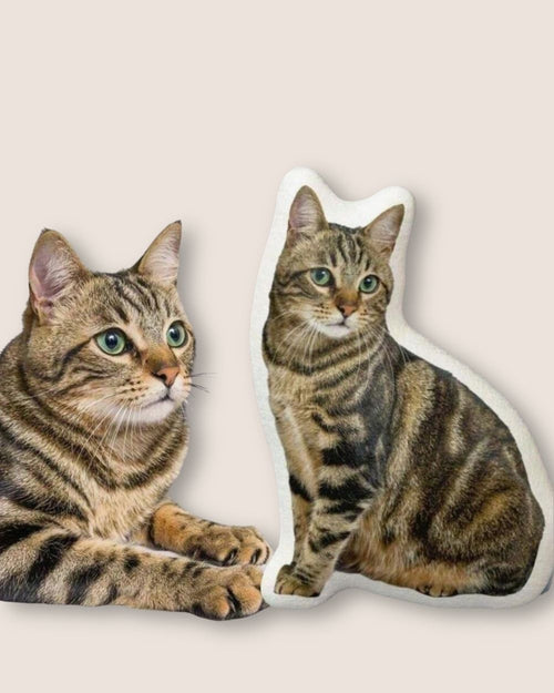 Custom pet shaped pillow held in hands